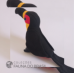 Tucano de Bico Preto