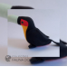 Tucano de Bico Verde
