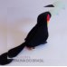 Tucano de Bico Verde