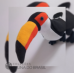 Tucano Toco